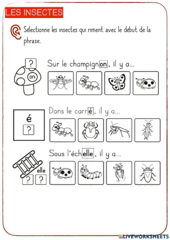 Les insectes-4