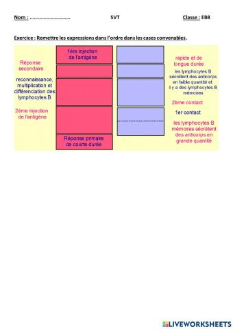 Mémoire immunitaire