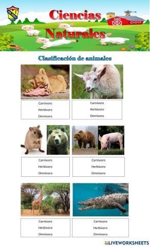Clasificación de animales