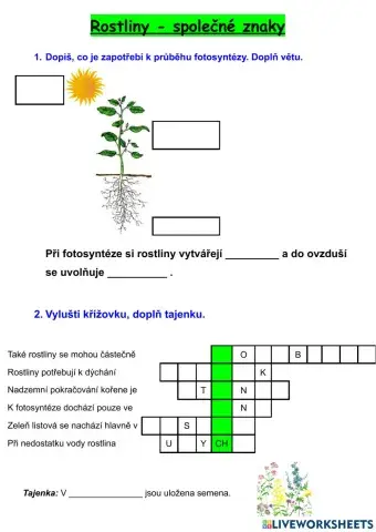 Rostliny - společné znaky