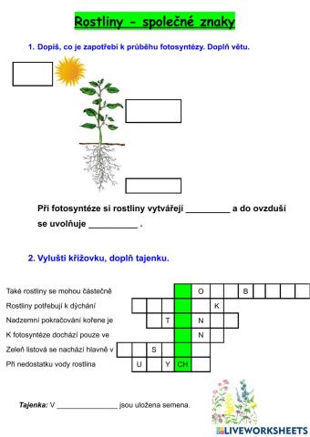Rostliny - společné znaky