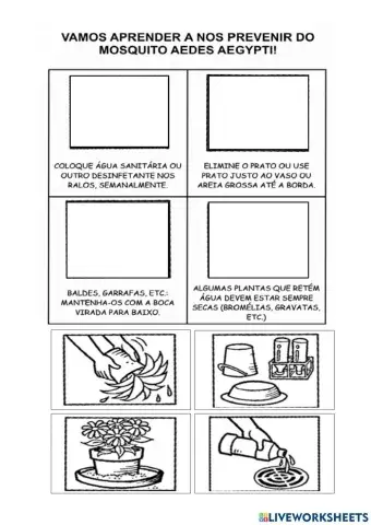 Atividade sobre a dengue