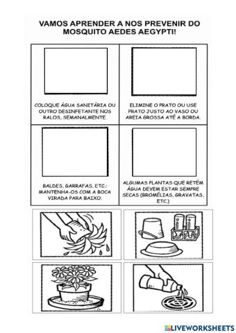 Atividade sobre a dengue