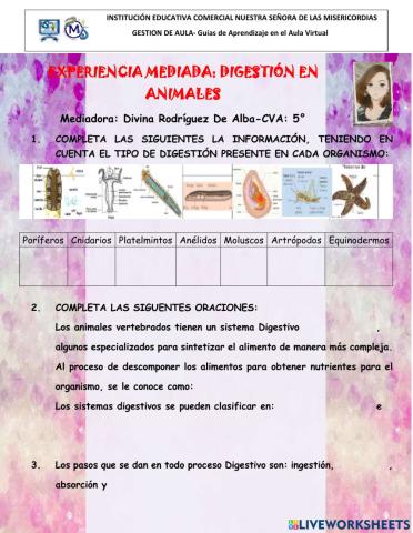 Digestion en animales