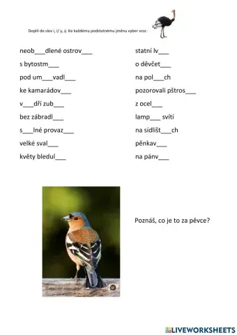 Koncovky podstatných jmen