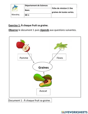 Des graines de toutes sortes fiche eb1