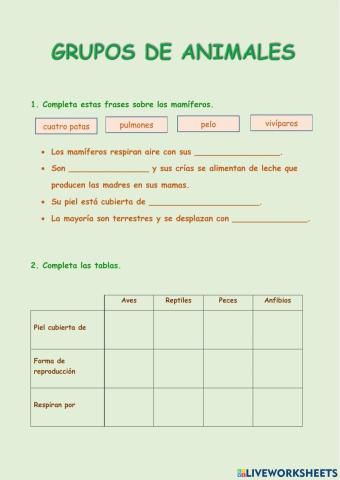 Grupos de animales