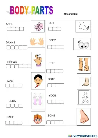 Body parts unscramble