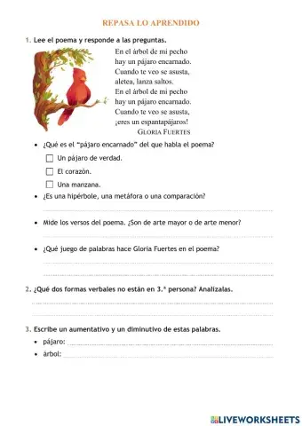 Repaso Lengua 2º trimestre