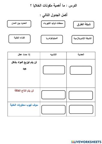 الخلية تشبه المدينة