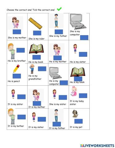 Family members he she it