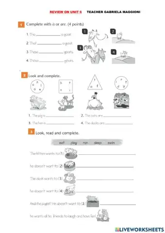 Animals -present continuous