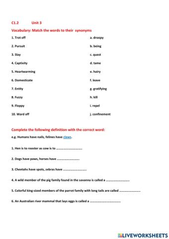 C1.2 Unit 3 Vocabulary Review