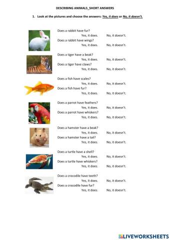 Describing animals Short answers