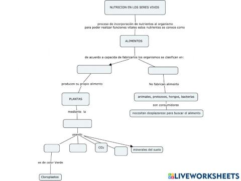 Nutricion en Plantas