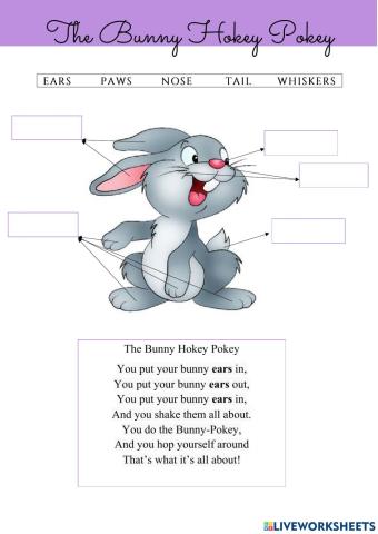 The Bunny Hokey Pokey