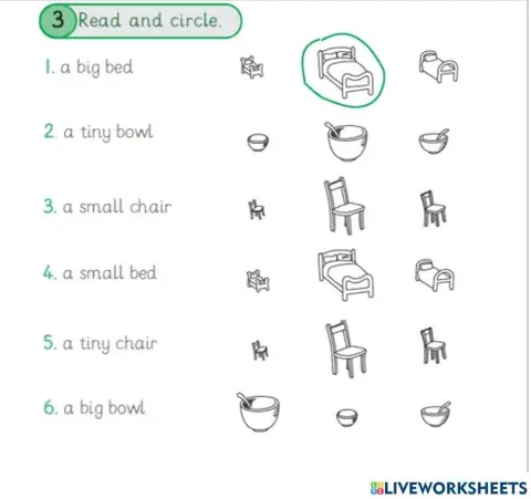 Read and circle