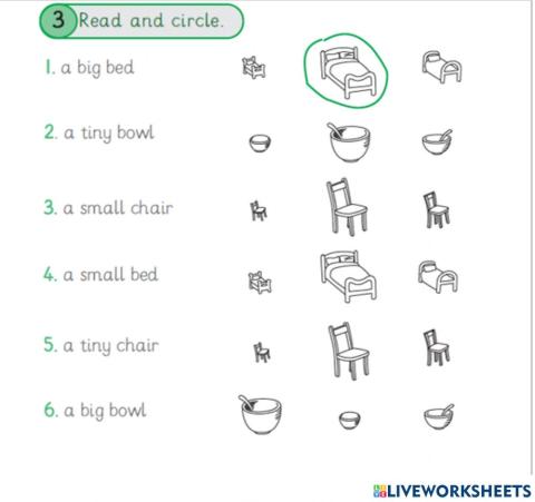 Read and circle