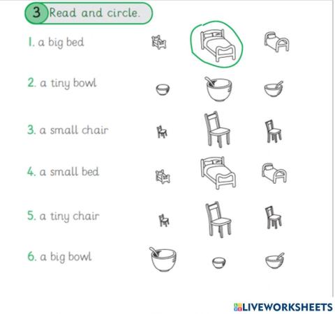 Read and circle