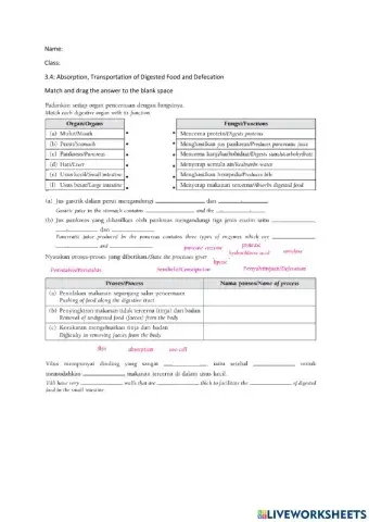 3.4: Absorption, Transportation of Digested Food and Defecation