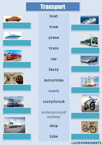 Repetytorium rozdział 6 Transport 2