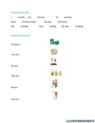 What are they doing?