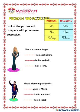 Pronoun and  possessive