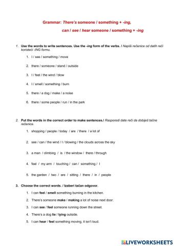 Unit 4: The Burglar II