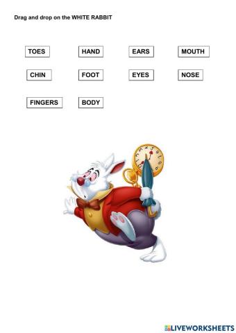 Drag and Drop on the WHITE RABBIT
