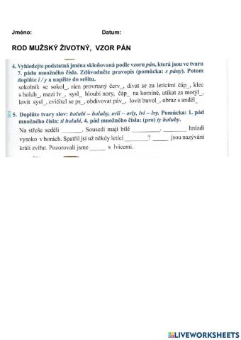 Rod mužský - vzor pán