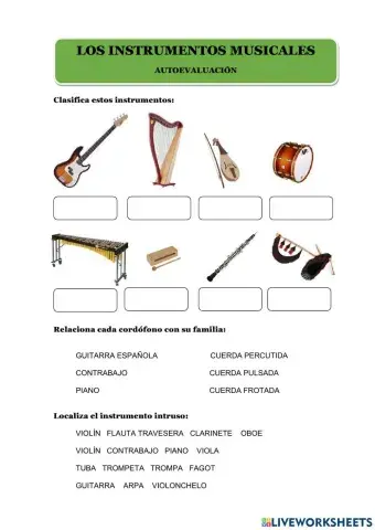 Los instrumentos - autoevaluación