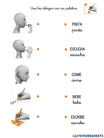 Une los verbos con su palabra