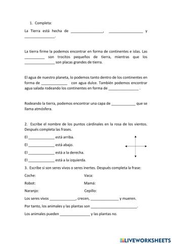 Las plantas y la tierra