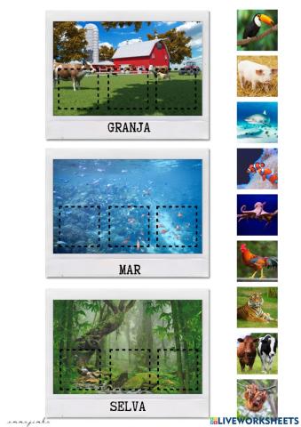 On viuen aquests animals?