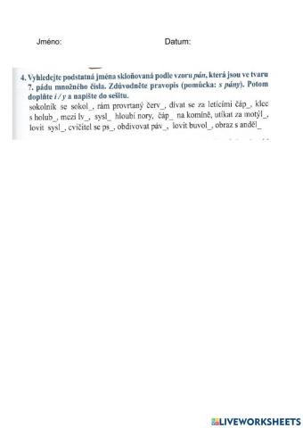 Rod mužský - vzor pán