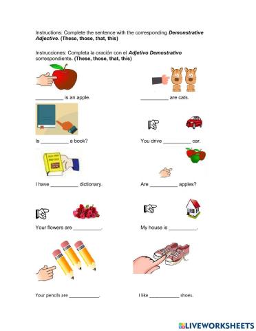 Demonstrative Adjectives