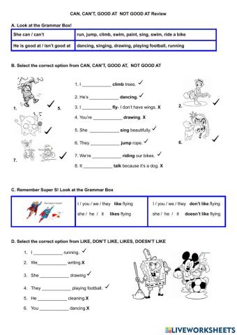 Super S and CAN, CAN’T, GOOD AT  NOT GOOD AT Review