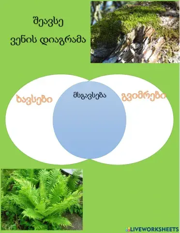 Გვიმრები და ხავსები