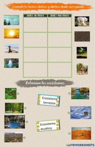 Factores bióticos y abióticos