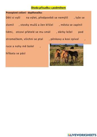 Shoda přísudku s podmětem