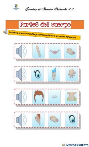 Las partes del cuerpo