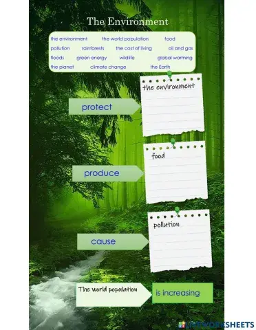 The enviroment vocabulary