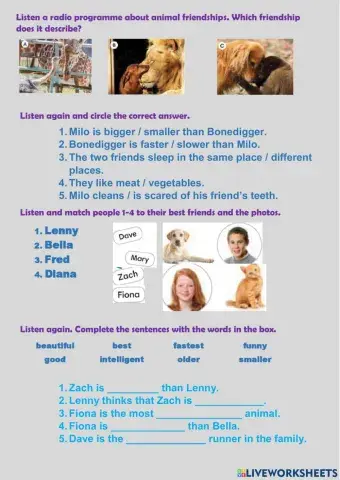 Comparative & superlative