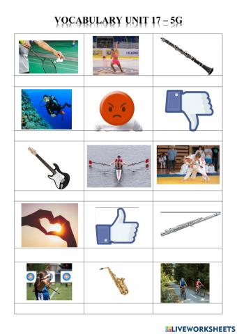 Vocabulary Unit 17 - 5G