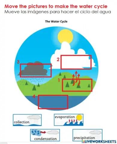 Water Cycle