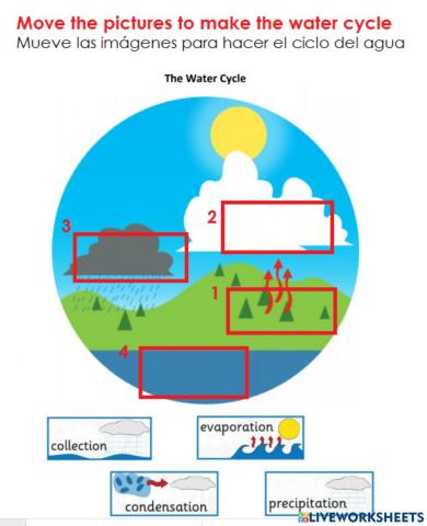 Water Cycle