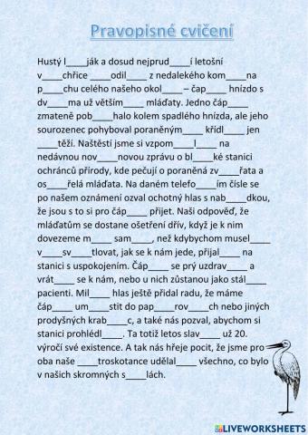 Pravopisné cvičení