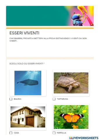 Viventi e non viventi