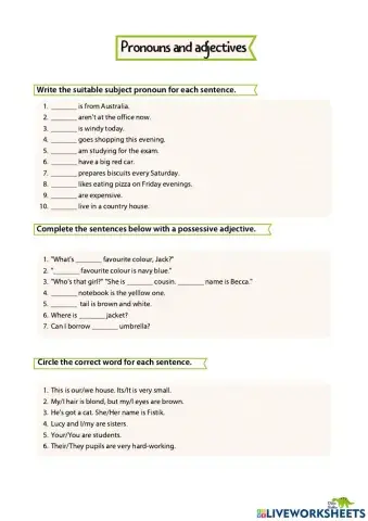 Pronouns and adjectives