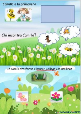 Comprensione del testo